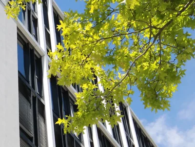 Großes Bürogebäude bei gutem Wetter