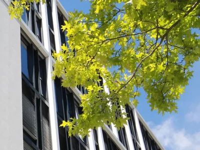 Großes Bürogebäude bei gutem Wetter