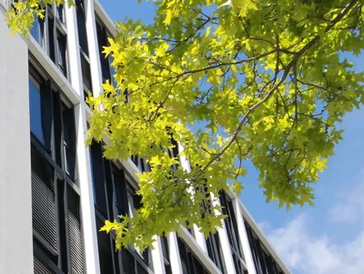 Großes Bürogebäude bei gutem Wetter