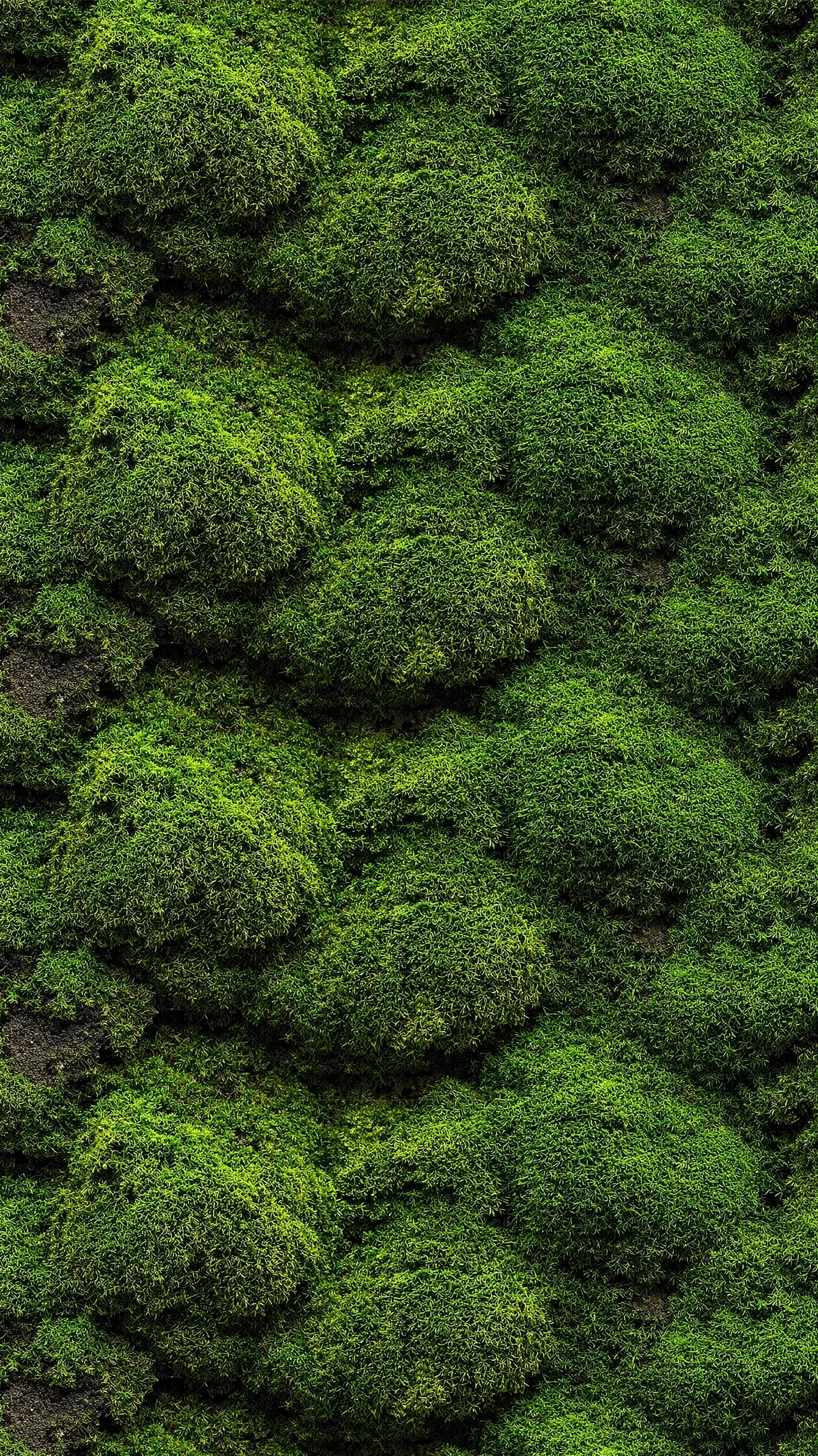 Naturally strong. Naturally green. met milieuvriendelijk koelmiddel R290