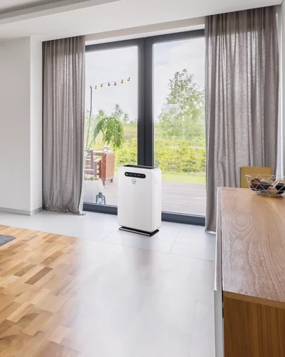 Weißes Remko Luftentfeuchtungsgert in einem modernen Wohnzimmer mit Holzdielen und großen Fenstern