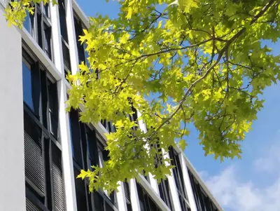 Großes Bürogebäude bei gutem Wetter
