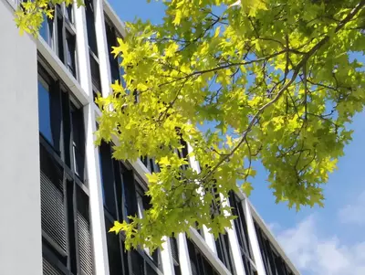 Bürogebäude Großes Bürogebäude bei gutem Wetter
