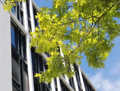 Großes Bürogebäude bei gutem Wetter