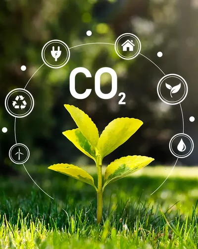 CO2 Kreislauf Diagramm mit grüner Pflanze auf Wiese, Symbol für nachhaltige Energie