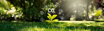 CO2 cycle diagram with green plant on grass, symbol for sustainable energy